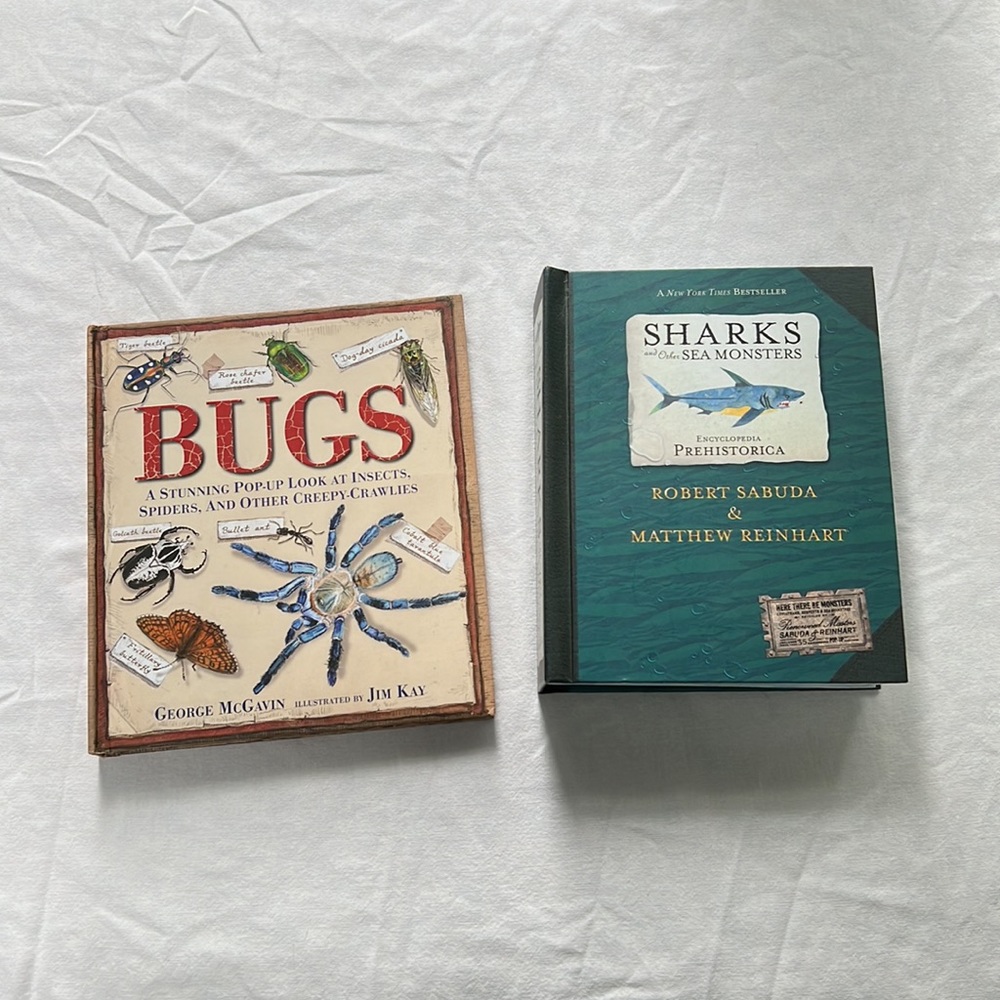 Pop Up Books (2)- Beautifully illustrated & informative books, like new!
